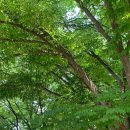 마르자하우스 이미지