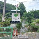 수피아호스텔 이미지