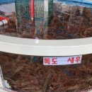 큰바다대게회식당