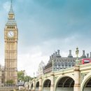 세이브투어 이미지