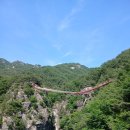 우둔산(26.6.6) 이미지