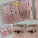 꽃가마 - 전주시 완산구 노송여울1길 17 | 화사한 코랄에 스며든 소프트 음영 클리오 6구 팔레트 왕실에디션 02 꽃 가마 코랄 내돈내산 후기