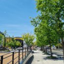 수성유원지(상화동산) 이미지