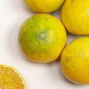 스타 생활용품점 이미지