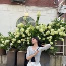 기역헤어(ㄱ헤어) 이미지