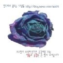 정일공구 | 신설동 가죽시장 투어 Guide by 지혜씨