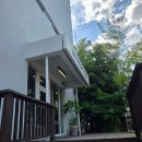 카페 무화과 | [채식] 전주 비건 베이커리 카페 채식주의자의 무화과 후기