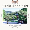 대구 구지, 현풍, 군위 쉽게 가는 방법 ㅣ 대구로택시 도동서원 방문 후기