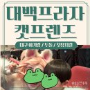 캣프렌즈 | 대구 아이랑 실내 가볼만한곳 :: 대백프라자 프라임홀 아동뮤지컬 캣프렌즈 가격 좌석 추천