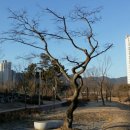 일구노래광장 - 화성시 발안양감로 201 | 일구노래광장