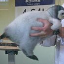 펭귄PC방 이미지