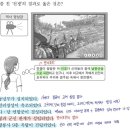 9번청과 이미지