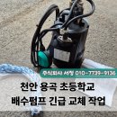 천안용곡초등학교 이미지