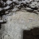 수도식당 이미지