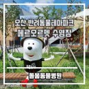 UR(오산시)-[오산천로]-하-10 | 오산 반려동물테마파크 sbs동물농장 메르오르펫 수영장 방문후기 [돌봄동물병원]