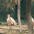 자연의 품 이미지