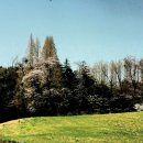 운산목장 이미지