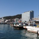 함동용 Daum카페
