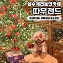핫한 그 회사, 진짜 잘 나갈까 | [따우전드] 성수애견동반카페 핫한 크리스마스 포토존이 있는 곳 / 파이맛집 / 웨이팅