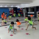 용인대 올림픽 태권도장 이미지