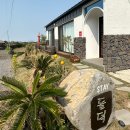 스테이돌덕 이미지