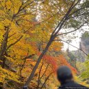 천연약수터 | 설악산 오색약수터 단풍 후기 (2025.10.26)｜실시간 단풍 상황·주차·등산코스 총정리