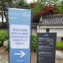 아름다운금수강산새복지문화 | [서울 종로 여행] "청와대" 어린이날 관람 후기 (아이들과 가볼만한 곳 + 5월 행사일정 포함)
