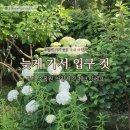 수목원마트편의점 | 수국은 예뻤지만...입구만 보고 돌아온 구례수목원