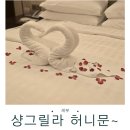 샹그릴라 | 세부 호텔 샹그릴라 솔직 후기｜막탄 최고인 이유