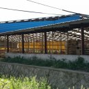 달샘목장 이미지