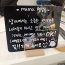 펫 마마의 집 이미지