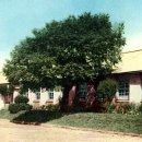 양감초등학교 이미지