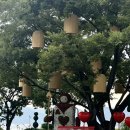 남해 Season | 아난티 남해CC 골프장 후기｜여름 우중 라운딩