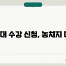 수강신발