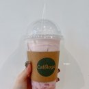 이롬황성주생식 성남사업단 | [판교] "카페로쥬(Cafeloge)" 푸릇푸릇 한 정원 느낌의 카페