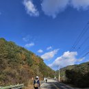 화천상회 Daum카페