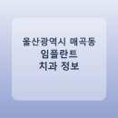 해마루치과의원 | 울산광역시 매곡동 임플란트 평균 가격과 후기 정리