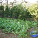 형은농장 이미지