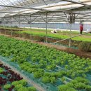 장안농장 이미지