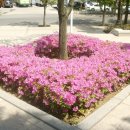 청소년회관 북구어린이도서관 이미지