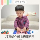 캥거루태권도 | 유아교구 블루래빗 캥거루스쿨 전집 재미있어요!