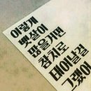 오도로참치 이미지