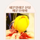 동구릉로85번길 | 세븐일레븐 메론모아바 구매성공! 재고조회로 품절대란 극복기 4조각의 비밀