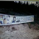 21세기부동산중개사무소 이미지