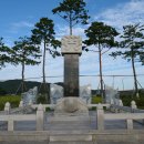 송해면-7 이미지