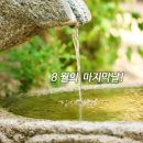 8월31일 고발뉴스 이미지