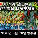 풍년농약종묘사 이미지