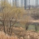 성태천 네이버블로그