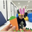 경희대태권도체육관 이미지