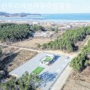 신두리세븐패밀리캠핑장 | [태안/캠핑장/글램핑] 신두리세븐패밀리캠핑장 자연 속에서 제대로 쉬고 온 후기